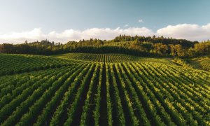 Omul care a „reconstruit” un sat abandonat cu ajutorul agriculturii regenerabile