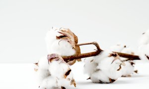 Better Cotton promite produse din bumbac fabricate cu materiale sustenabile