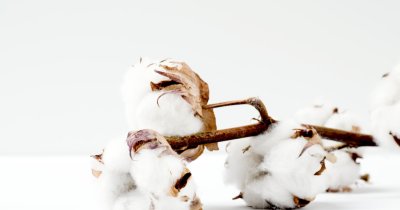 Better Cotton promite produse din bumbac fabricate cu materiale sustenabile