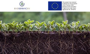 BIOservicES este proiectul european ce restaurează biodiversitatea solului
