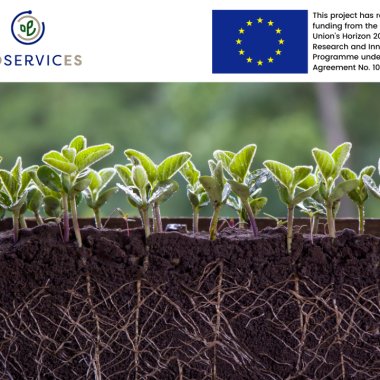 BIOservicES is the European project that aims to restore the soil's biodiversity
