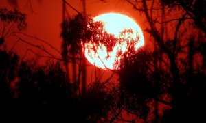 Researchers can say "with near certainty" that 2023 will be the hottest year