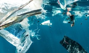 Less plastic on the shelves is the solution scientists propose to lower waste