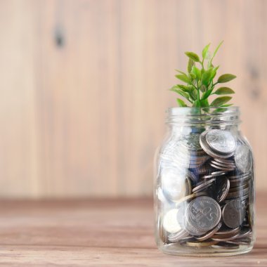 Consumatorii de pe glob, tot mai investiți în achiziții sustenabile premium