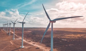 Turbinele eoliene din lemn ne pot ajuta să producem energie verde mai sustenabil