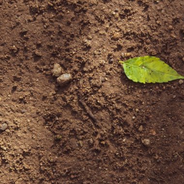 The company that helps agriculture by capturing CO2, $ 18 mn investment
