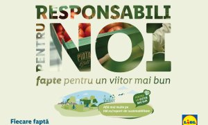 Raport de sustenabilitate Lidl: mai mulți furnizori local și transport mai verde
