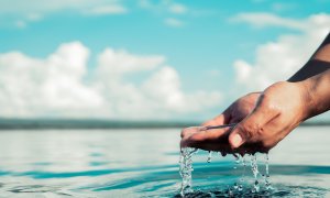 Suzuki Clean Ocean Project: the revolutionary microplastic collecting device for outboard engines