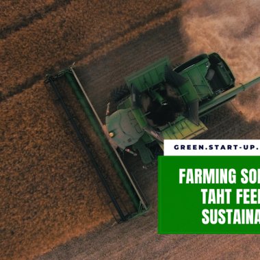 Three farming solutions that bring healthy and sustainable food to the table