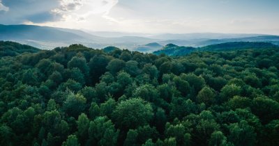 A German investment fund raises $200 mn to support the world's forests