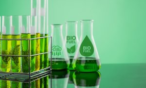 Terragia primește 6 mil USD pentru producția mai ieftină de biocombustibili