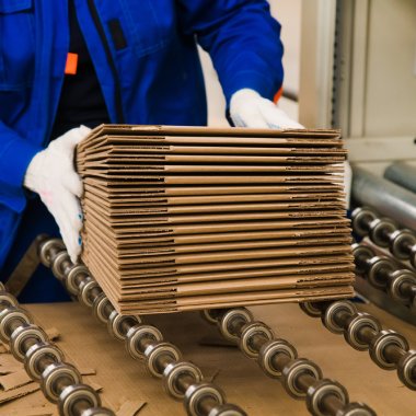 Startup-ul german care ambalează planeta sustenabil ridică 12 milioane de euro