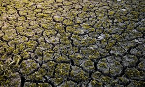 April was the 11th month in a row to break temperature records, due to emissions