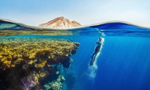 The fund that protects our oceans and develops green businesses raises €201 mn