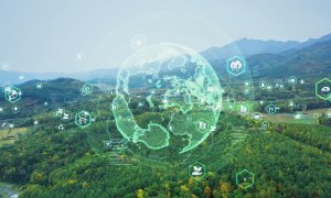 "Earth's AI digital twin" can help us find solutions for the climate crisis
