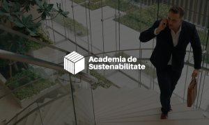 Academia de Sustenabilitate se extinde în CEE: resurse pentru 800.000 de IMM-uri