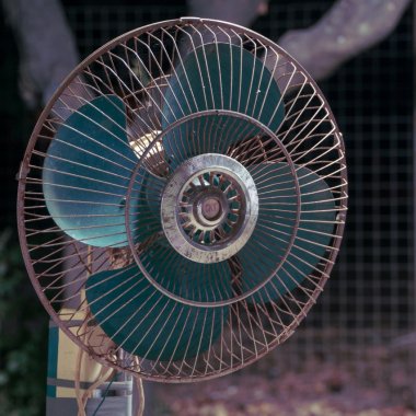 Meteorologii: Iunie, a 13-a lună cu temperaturi record, dar există speranțe