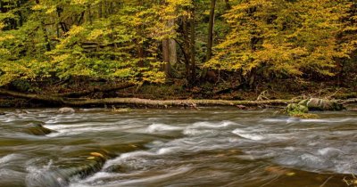 Rewilding România reconectează ecosistemele acvatice din Carpații Meridionali
