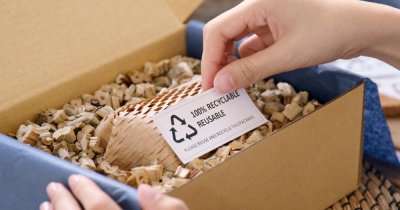 These sustainable paper-making alternative materials help us spare our forests