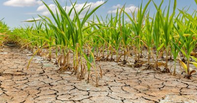 Sistemul alimentar global, amenințat de fenomenele meteo extreme actuale