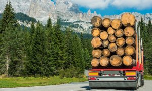 Opinie: implementarea regulamentului EUDR în sectorul forestier din România
