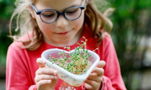 Fondurile de la Balul Bucuriei, folosite pentru o micro-fermă îngrijită de persoanele cu autism