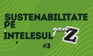 Upcycling, recycling, downcycling: 5 termeni despre reciclare