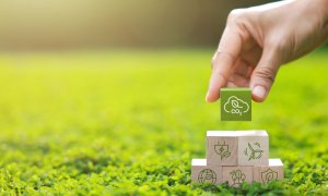 Climate Change Summit: în ultimii ani, consumul a crescut cu 28%