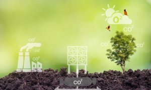 Microsoft reaches back to old friends for the future of soil carbon capture