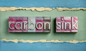 Ce sunt rezervoarele de carbon și de ce planeta “fierbe” când nu funcționează