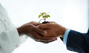 Cum stă Europa față de SUA la investițiile în tranziția verde