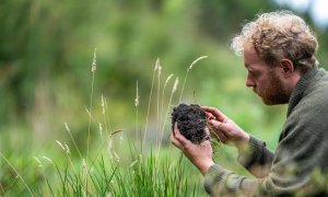Practicile agricole sustenabile, economii de €50 mld anual. Ce putem face în RO