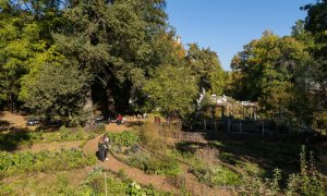 Funding for 5 environmental projects that are transforming Bucharest