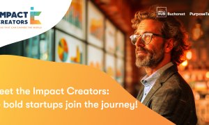 Acceleratorul Impact Creators anunță startup-urile calificate în program