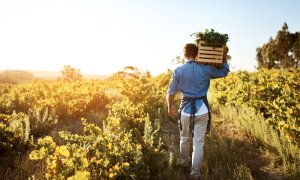 Tranziția către o agricultură sustenabilă în Europa, finanțată cu $22 mil