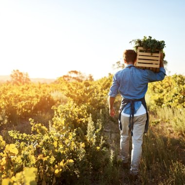 Tranziția către o agricultură sustenabilă în Europa, finanțată cu $22 mil