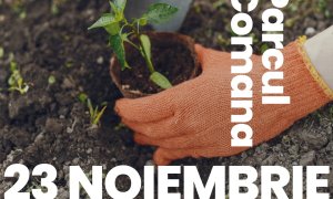 Plantează aer pentru România: ajută la plantarea a 5.000 de puieți pe 23 noiembrie