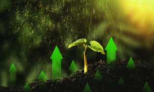 GreenLeap, program de accelerare și incubare pentru startup-urile verzi