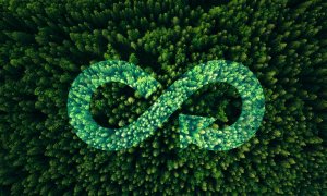 Kantar launches a guide for the businesses making the transition to circularity