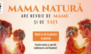 Sănătatea și bunăstarea românilor, în pericol din cauza distrugerii ecosistemelor