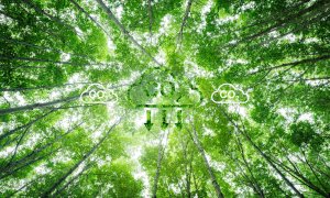 Startup-ul susținut de Meta obține 32 mil USD pentru captarea carbonului