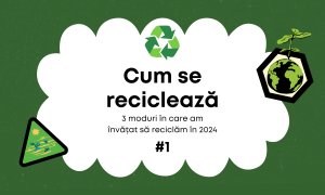 3 moduri în care am învățat să reciclăm în 2024 #1