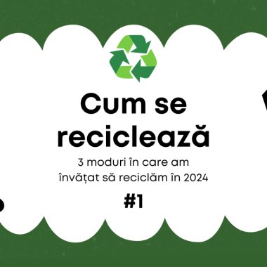 3 moduri în care am învățat să reciclăm în 2024 #1