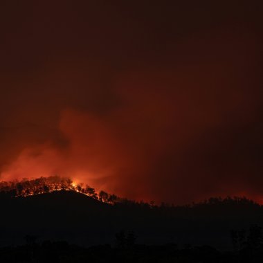 2024 a fost declarat cel mai fierbinte an înregistrat până acum