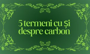 5 termeni cu și despre carbon