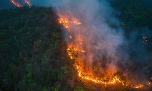 Incendiile din 2024, cauza pentru fenomene meteo extreme în anii următori
