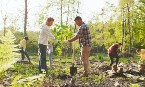 Microsoft începe anul cu un nou angajament de plantare a milioane de copaci