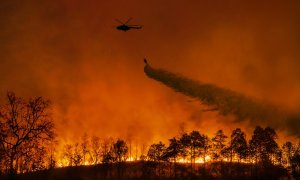 De ce temperaturile extreme ar putea ucide cu 50% mai mulți europeni în următorii ani