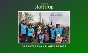 The project of a bank that has reforested several areas in Romania