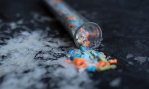Cum pot florile și fructele să reducă efectele microplasticelor din corpul tău